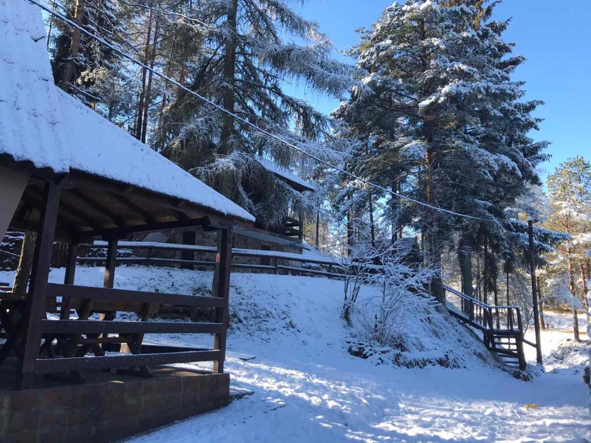 Villa Dmk Divčibare Esterno foto
