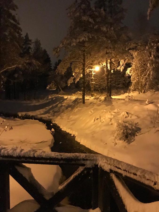 Villa Dmk Divčibare Esterno foto